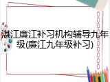 湛江廉江补习机构辅导九年级(廉江九年级补习)