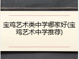 宝鸡艺术类中学哪家好(宝鸡艺术中学推荐)