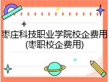 枣庄科技职业学院校企费用(枣职校企费用)