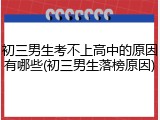 初三男生考不上高中的原因有哪些(初三男生落榜原因)