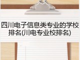 四川电子信息类专业的学校排名(川电专业校排名)