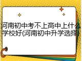 河南初中考不上高中上什么学校好(河南初中升学选择)
