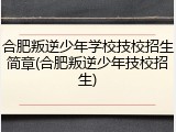 合肥叛逆少年学校技校招生简章(合肥叛逆少年技校招生)