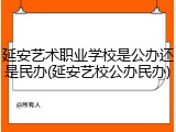 延安艺术职业学校是公办还是民办(延安艺校公办民办)