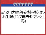 武汉电力高等专科学校收艺术生吗(武汉电专招艺术生吗)