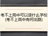 考不上高中可以读什么学校(考不上高中有何出路)