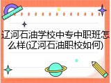 辽河石油学校中专中职班怎么样(辽河石油职校如何)