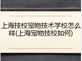 上海技校宠物技术学校怎么样(上海宠物技校如何)
