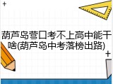 葫芦岛营口考不上高中能干啥(葫芦岛中考落榜出路)