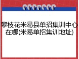 攀枝花米易县单招集训中心在哪(米易单招集训地址)