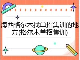 海西格尔木找单招集训的地方(格尔木单招集训)
