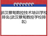 武汉蔡甸数控技术培训学校排名(武汉蔡甸数控学校排名)