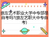 崇左艺术职业大学中专部是自考吗?(崇左艺职大中专自考)