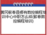 黄冈蕲春县哪有数控编程培训中心中职怎么样(蕲春数控编程培训)