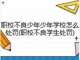 职校不良少年少年学校怎么处罚(职校不良学生处罚)