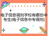 电子信息调剂学校有哪些中专生(电子信息中专调剂)