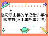临汾浮山县的单招集训学校哪里有(浮山单招集训校)