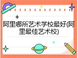 阿里哪所艺术学校最好(阿里最佳艺术校)