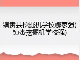 镇赉县挖掘机学校哪家强(镇赉挖掘机学校强)