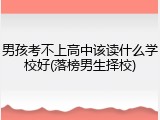 男孩考不上高中该读什么学校好(落榜男生择校)