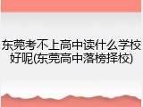 东莞考不上高中读什么学校好呢(东莞高中落榜择校)