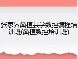 张家界桑植县学数控编程培训班(桑植数控培训班)