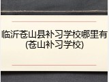 临沂苍山县补习学校哪里有(苍山补习学校)