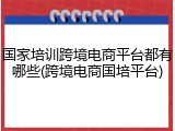 国家培训跨境电商平台都有哪些(跨境电商国培平台)