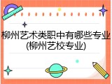 柳州艺术类职中有哪些专业(柳州艺校专业)