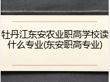 牡丹江东安农业职高学校读什么专业(东安职高专业)