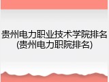 贵州电力职业技术学院排名(贵州电力职院排名)