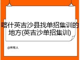 喀什英吉沙县找单招集训的地方(英吉沙单招集训)