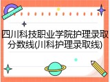 四川科技职业学院护理录取分数线(川科护理录取线)