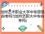池州艺术职业大学中专部是自考吗?(池州艺职大中专自考吗)
