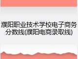 濮阳职业技术学校电子商务分数线(濮阳电商录取线)
