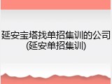 延安宝塔找单招集训的公司(延安单招集训)