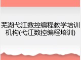 芜湖弋江数控编程教学培训机构(弋江数控编程培训)