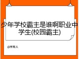 少年学校霸主是谁啊职业中学生(校园霸主)
