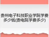贵州电子科技职业学院学费多少钱(贵电院学费多少)