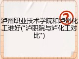 泸州职业技术学院和泸州化工谁好("泸职院与泸化工对比")