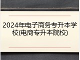 2024年电子商务专升本学校(电商专升本院校)