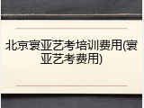 北京寰亚艺考培训费用(寰亚艺考费用)