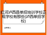 红河泸西县单招培训学校正规学校有那些(泸西单招学校)