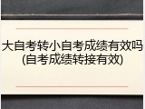 大自考转小自考成绩有效吗(自考成绩转接有效)