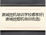 谯城挖机培训学校哪家好(谯城挖掘机培训优选)