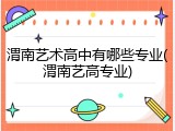 渭南艺术高中有哪些专业(渭南艺高专业)