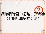 铜陵铜陵县单招培训班哪家好(铜陵单招培训班)