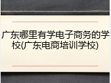 广东哪里有学电子商务的学校(广东电商培训学校)
