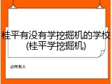 桂平有没有学挖掘机的学校(桂平学挖掘机)