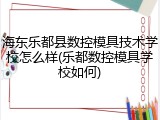 海东乐都县数控模具技术学校怎么样(乐都数控模具学校如何)